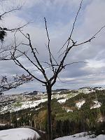  23. Dezember 2010 - nach zwei wärmeren Tagen ist viel vom Schnee weggeschmolzen - unsere Erinnerungen jedoch nicht!